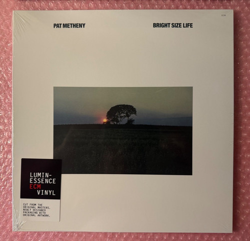 Pat metheny bright size life - size,