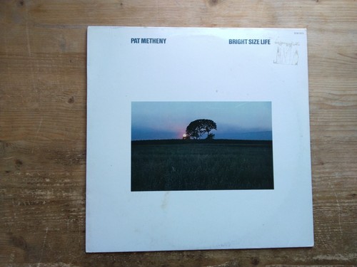 Pat metheny bright - bright, life