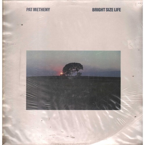 Pat metheny vinile bright - metheny,