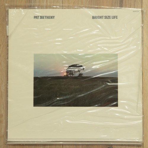 Pat metheny bright size - pat,
