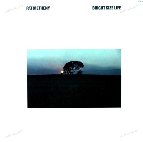 Pat metheny bright - pat,