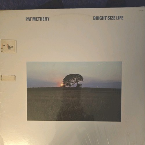 Pat metheny bright size life - metheny,