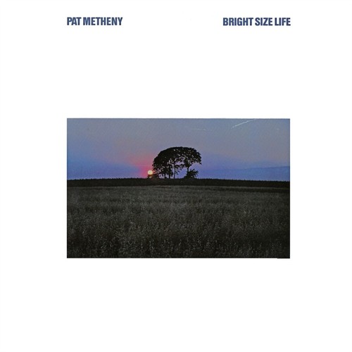 Bright size life - bright,
