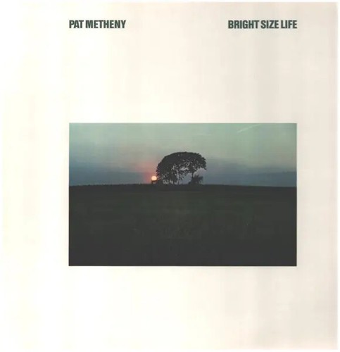 Pat metheny bright size - metheny,