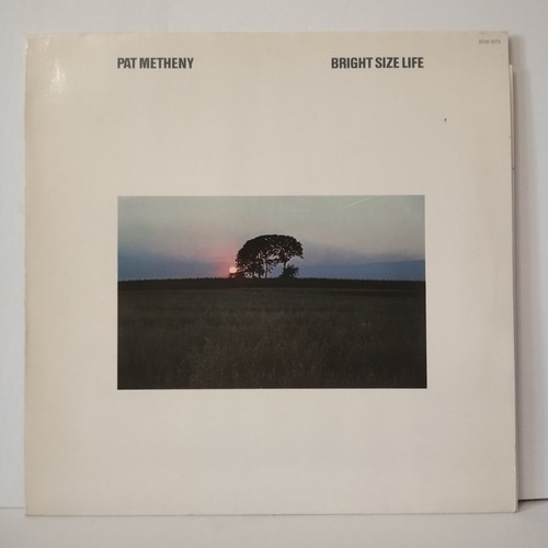 Pat metheny bright size life - bright,