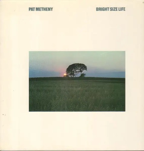 Pat metheny bright - bright, size